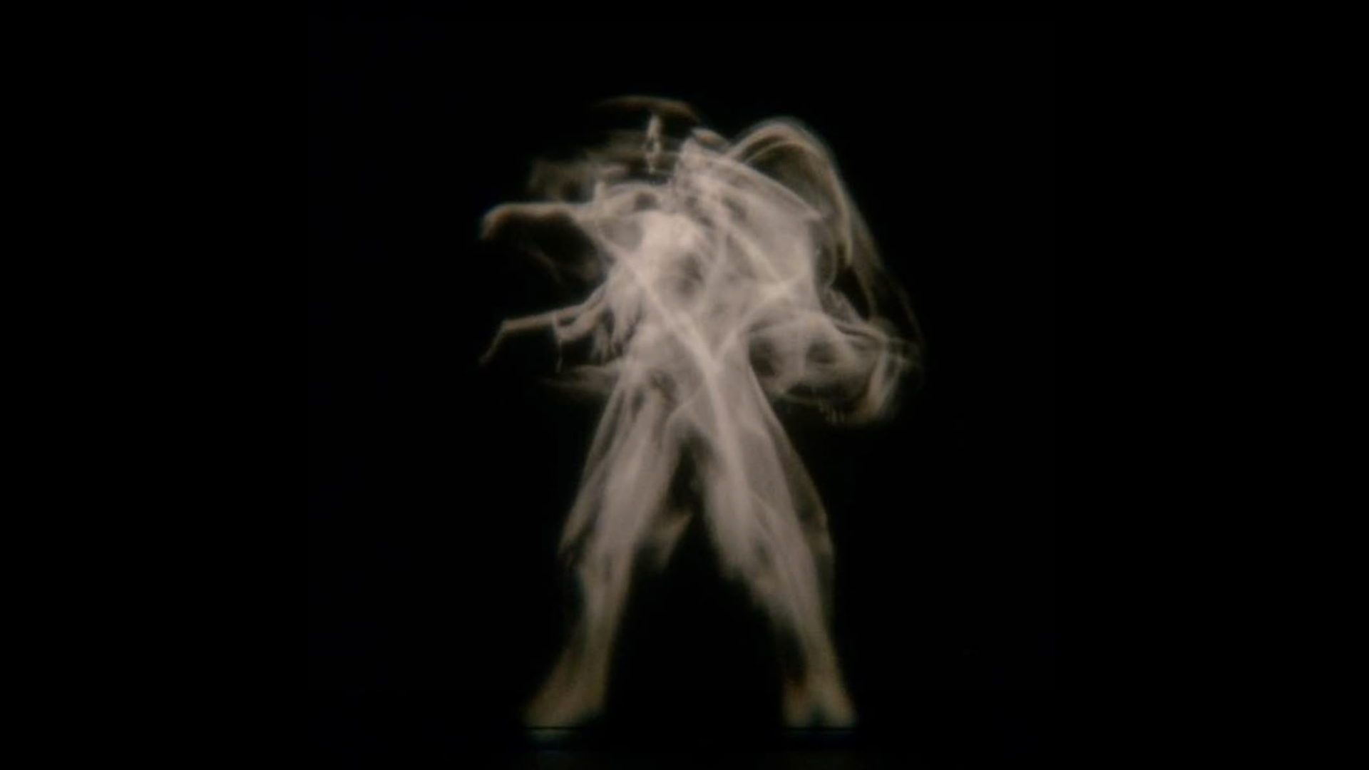 Silhouetten in Decay